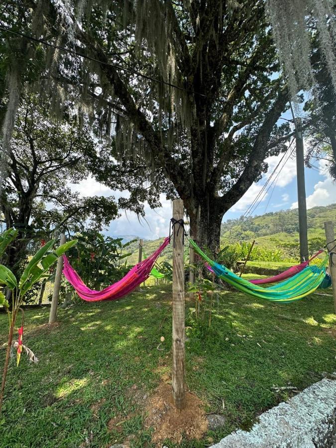 Granja Del Cafe Hotel Y Centro De Convenciones Venecia  Ngoại thất bức ảnh